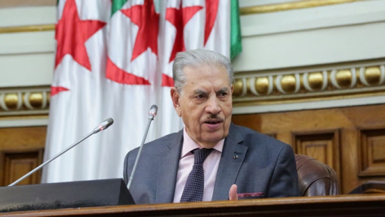 الفصل في مهام "السيناتورات" وفق أحكام الدستور