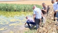 استزراع سمك &quot;الجمبوزيا&quot; لأول مرة بقالمة