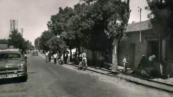 مدينة الطارف