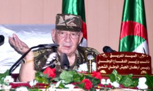 سنتخذ كافة الإجراءات لتمكين المواطنين من ممارسة حقهم الانتخابي