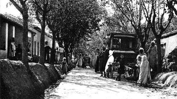 مدينة فرجيوة