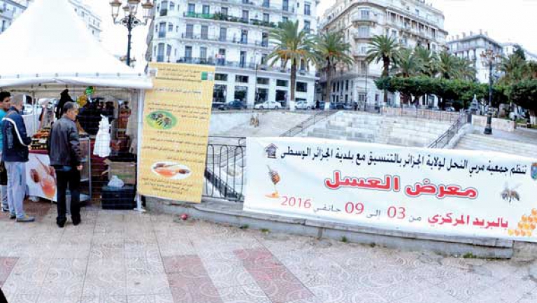 جمعية "مربي النحل" تسعى إلى تصدير العسل الطبيعي