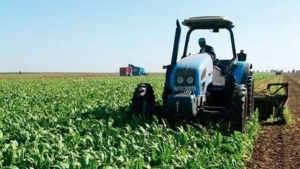 24 ألف مستثمرة فلاحية معنية بالإحصاء الفلاحيّ