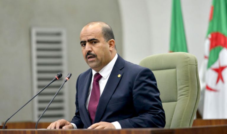 شنين: الانتخابات ستكرس سيادة الشعب ورغبته في التغيير