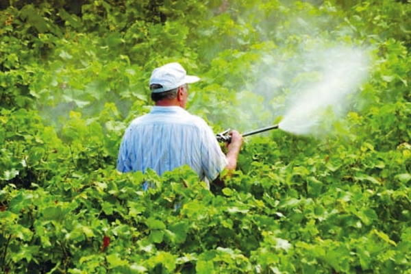 المطالبة بالاستعمال الصحيح للمبيدات الحشرية