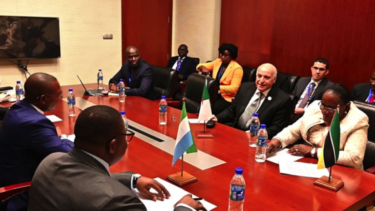 الجزائر تدعو لموقف إفريقي ثابت في الدفاع عن القضايا العادلة