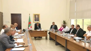 وليد صادي، رئيس الاتحادية الجزائرية لكرة القدم