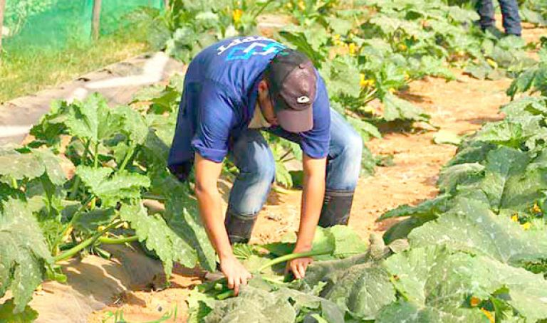 اتفاقية للتكفل بالمهن الفلاحية