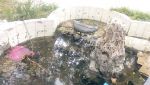الإهمال يطال حديقة أول نوفمبر