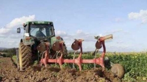 قرض "الرفيق" يمول 314 ملف بقالمة