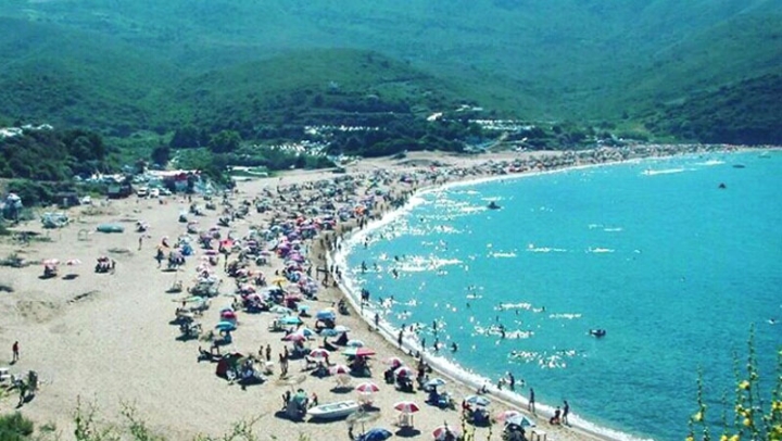 توفير كل المستلزمات وبرمجة عروض سينمائية على الشاطئ