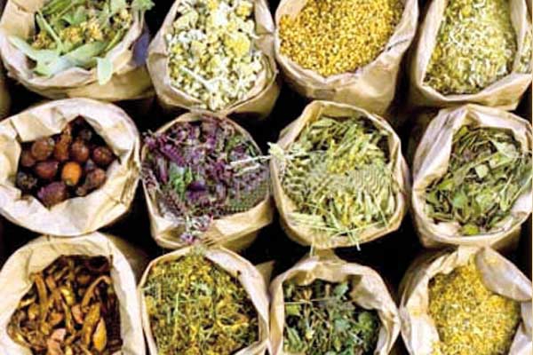 محلات بيع الأعشاب تعرض "أم الجلاجم" للعقم بعنابة