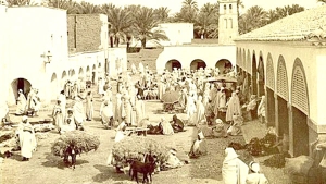 مدينة طولقة