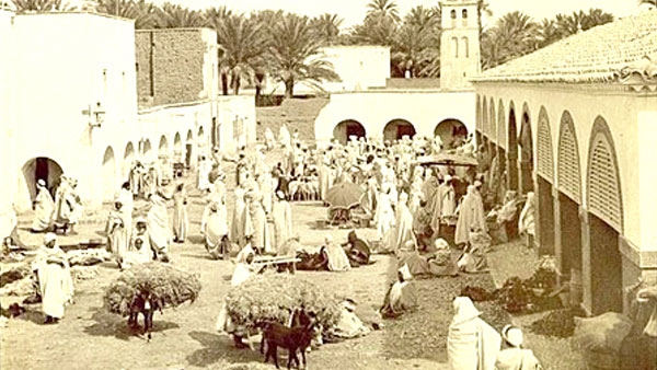 مدينة طولقة