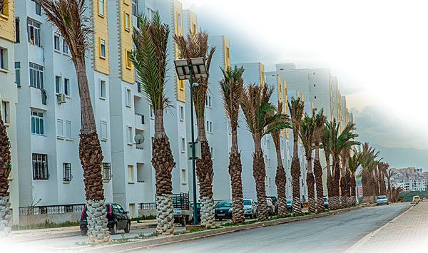 180 وحدة سكنية توزع قريبا بأولاد بسام