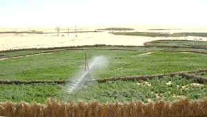 119 عملية ربط بشبكة الكهرباء