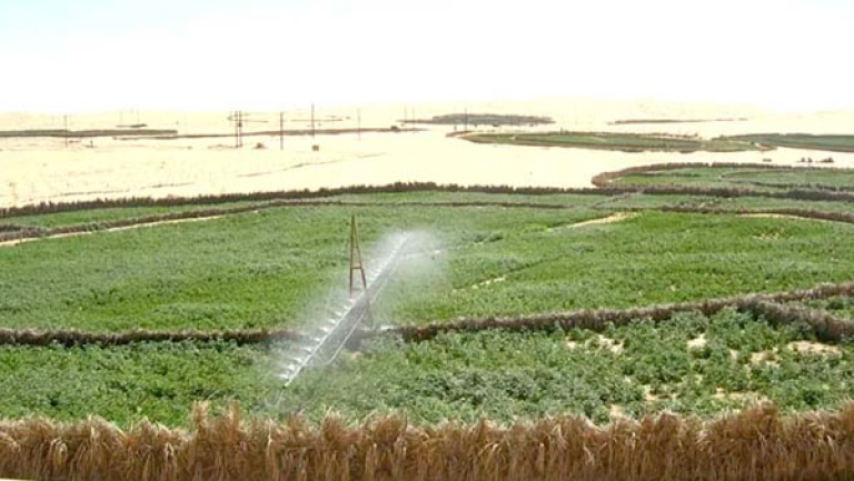 119 عملية ربط بشبكة الكهرباء