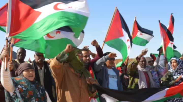 بريطانيا تؤكد استمرار اتصالاتها مع جبهة البوليساريو