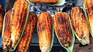 نشاط موسمي ينتعش كل صيف