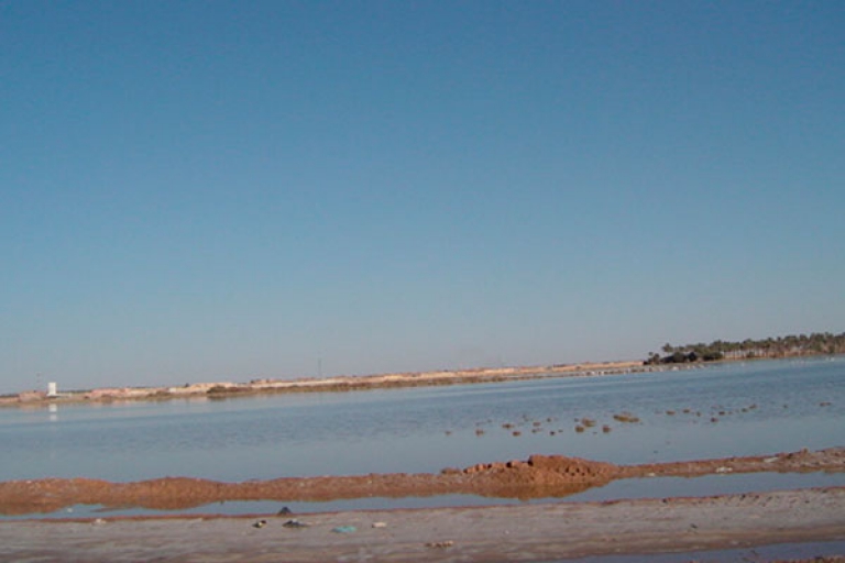 السكان يطالبون بالتحقيق في تلوث سبخة «أولاد بوعلي»