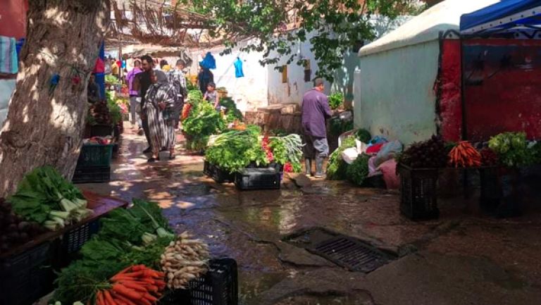 لوحة طبيعية ومتعة للناظرين