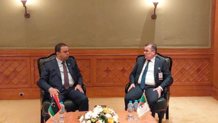 ترقية التعاون مع الأردن وليبيا في قطاع العمل
