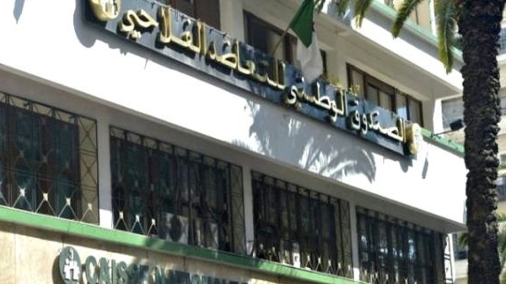 نمو بـ10 % وتحسّن في أداء الفروع التأمينية