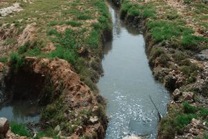 المياه القذرة تهدد سكان حي الصنوبر بقسنطينة