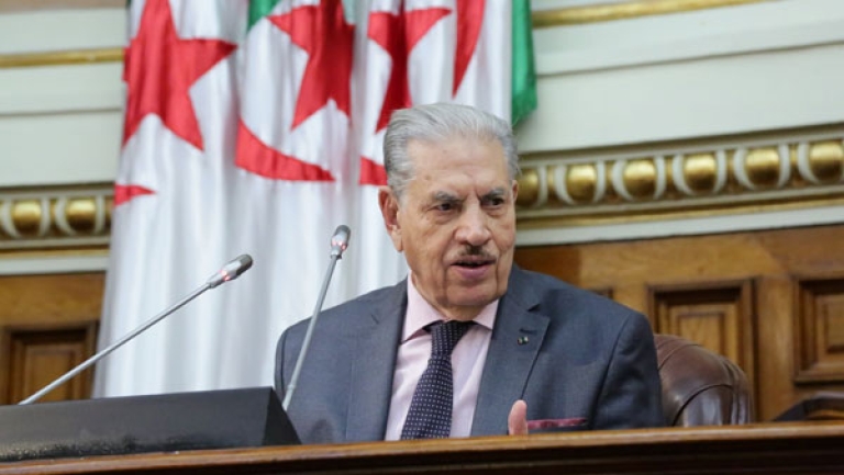 الرئيس تبون حريص على تكريس الانتماء الإفريقي