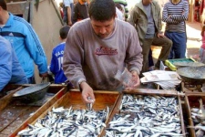 العاصميون يقاطعون السمك في الأيام الأولى لرمضان