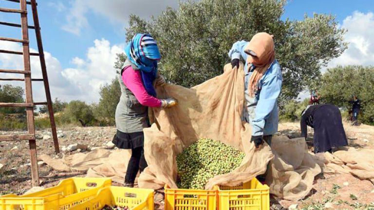 برنامج لدعم 300 امرأة ريفية