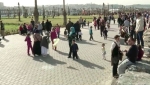 عبير سعداوي، مختصة اجتماعية