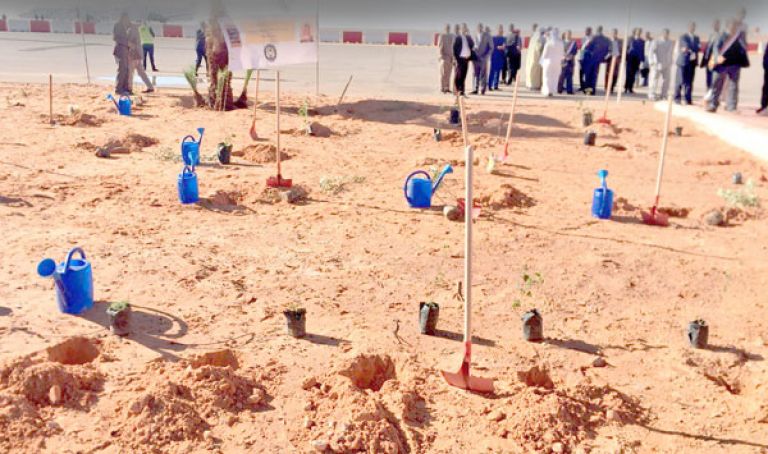 «وزعنا 50 ألف شجيرة خلال 2019”