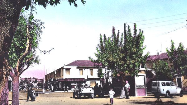 مدينة العلمة
