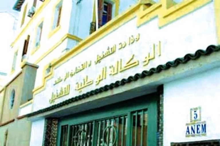 تطهير قوائم مختلف البرامج من 8 آلاف منصب