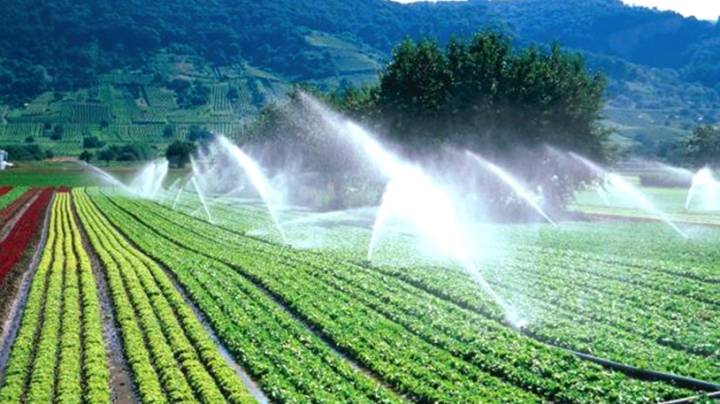 مشاريع قطاع الري والتطهير بوهران تحت المراقبة