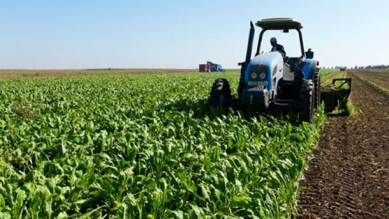 تنصيب لجنة إحصاء الأراضي