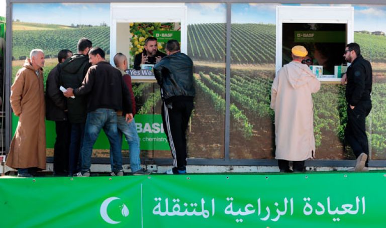 توزيع 1000 طقم وقائي مجانا لحماية الفلاحين من المبيدات