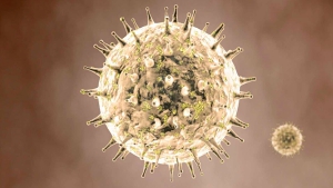 العلماء يطوّرون أسلوبا لتوجيه جهاز المناعة لقتل السرطان