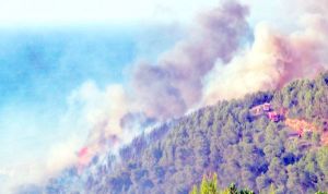 الحرائق تتلف 117 هكتارا منذ بداية أكتوبر
