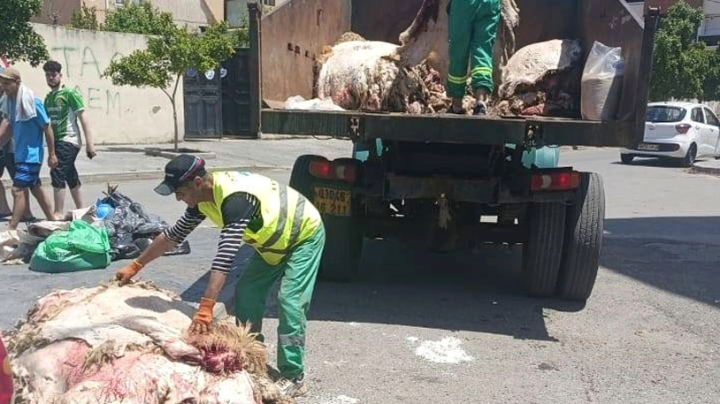 جمع 19 ألف طن من النفايات و112 ألف "هيدورة" بالعاصمة