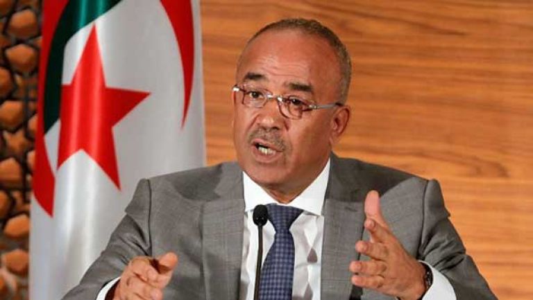 مجلس وطني للبحث العلمي وربط المدارس بالانترنت وبعث السد الأخضر