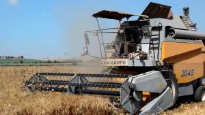 توقع إنتاج مليوني قنطار من الحبوب