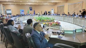 "تحديث حوكمة التعليم العالي" محور ورشة عمل