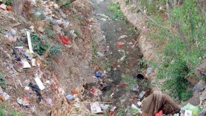 فضلات عين أزال قضت على النبات والحيوان... ثم الإنسان