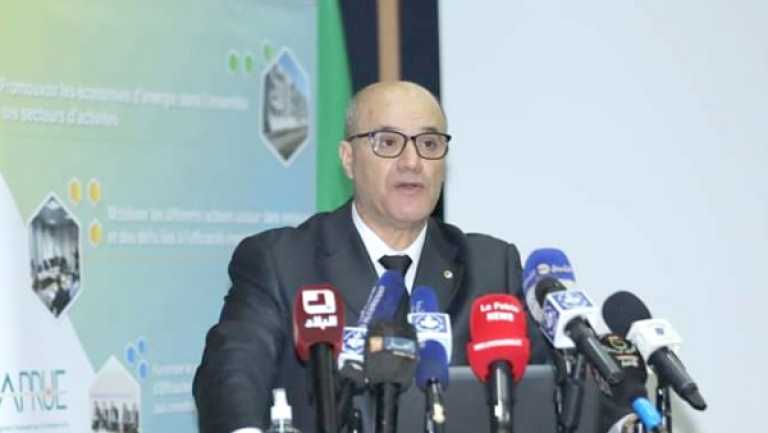 التزام الجزائر بدعم جهود مواجهة تغير المناخ