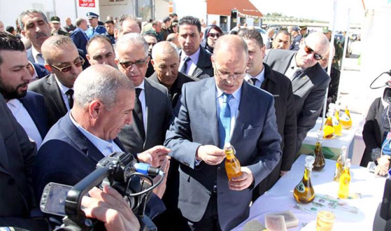تخزين منتوج الثوم بداية من جوان المقبل