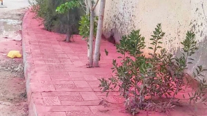 بدون تعليق