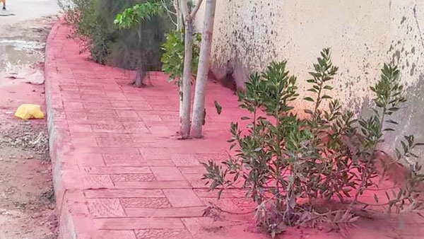 بدون تعليق