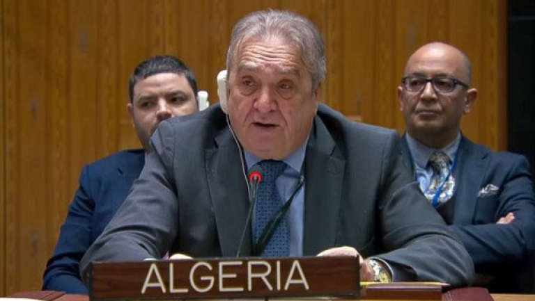 الجامعة العربية تدعم جهود الجزائر في مجلس الأمن
